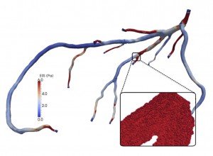 geometry of human coronary arteries from a CTA scan image