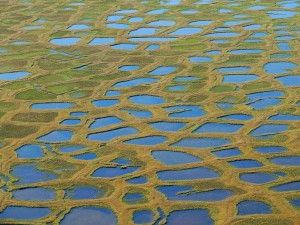 Permafrost creates a polygonal landscape, irregularity that makes simulating thawing’s impact on climate change a challenge requiring advanced algorithms and high-performance computers. (Photo: Konstanze Piel, Alfred Wegener Institute.)
