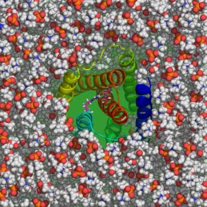 likely active site of a homolog of plant Bax inhibitor-1 protein