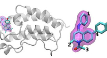 Molecular landscaping